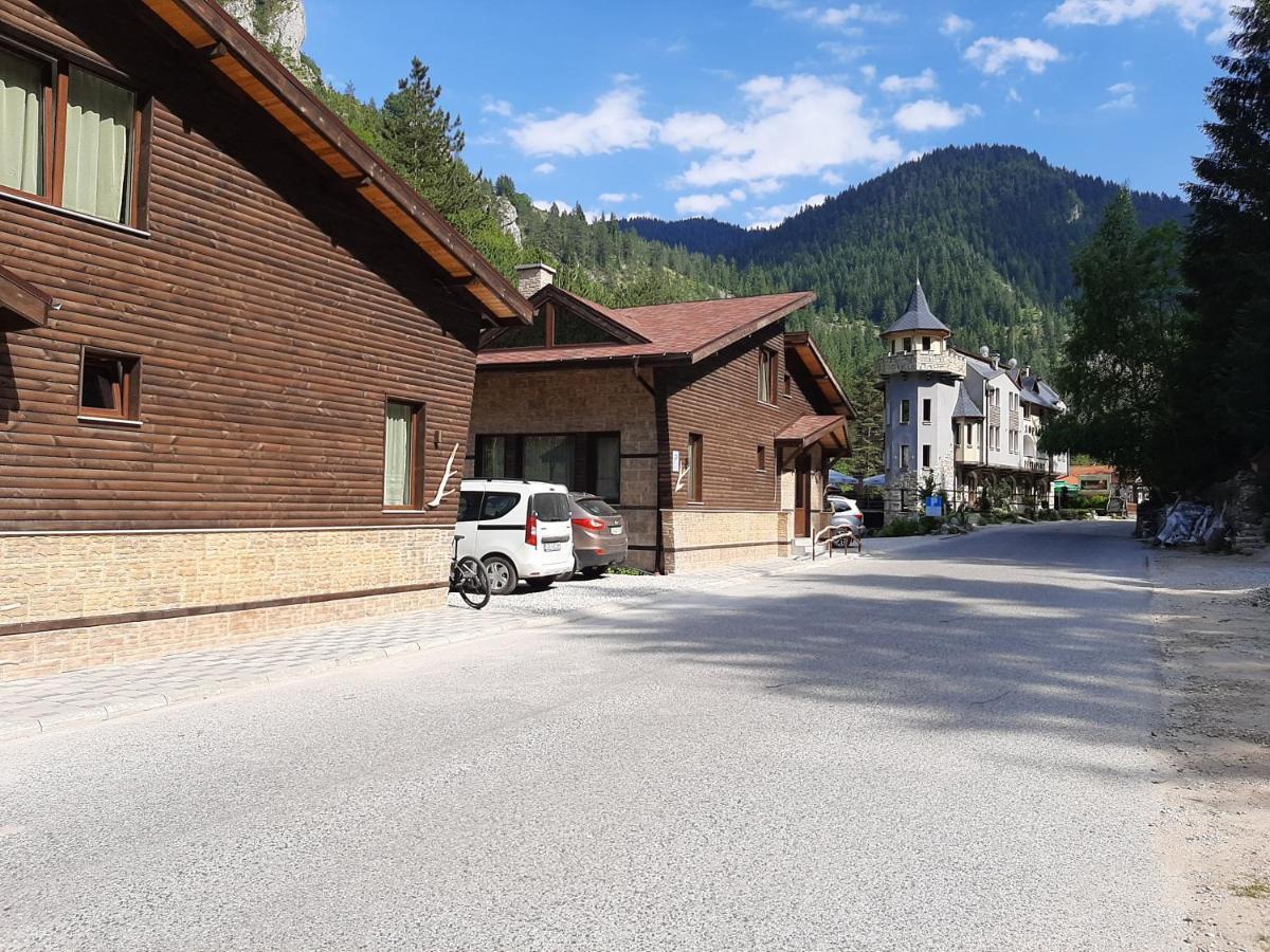 Horlog Castle Hotel Trigrad Bagian luar foto