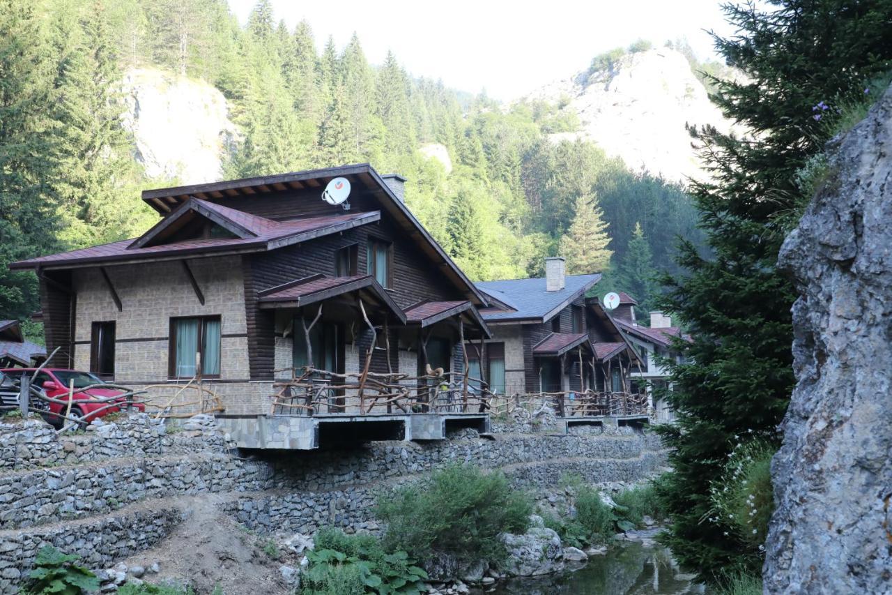 Horlog Castle Hotel Trigrad Bagian luar foto