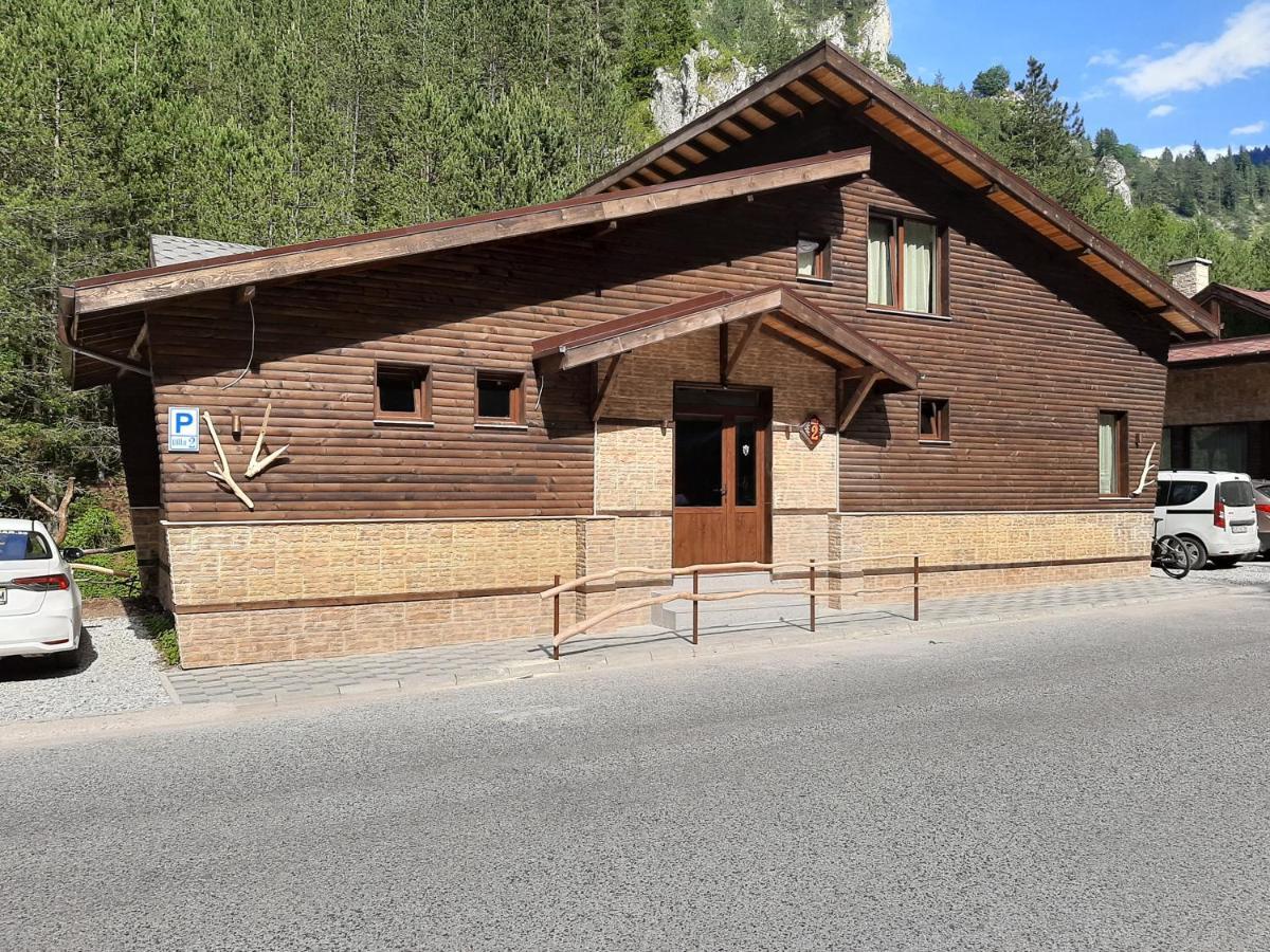 Horlog Castle Hotel Trigrad Bagian luar foto