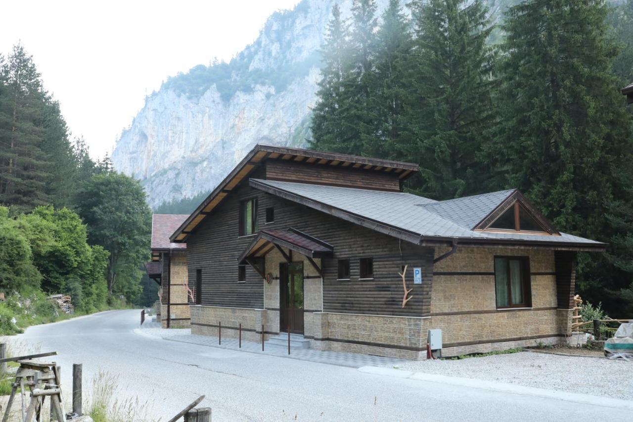 Horlog Castle Hotel Trigrad Bagian luar foto