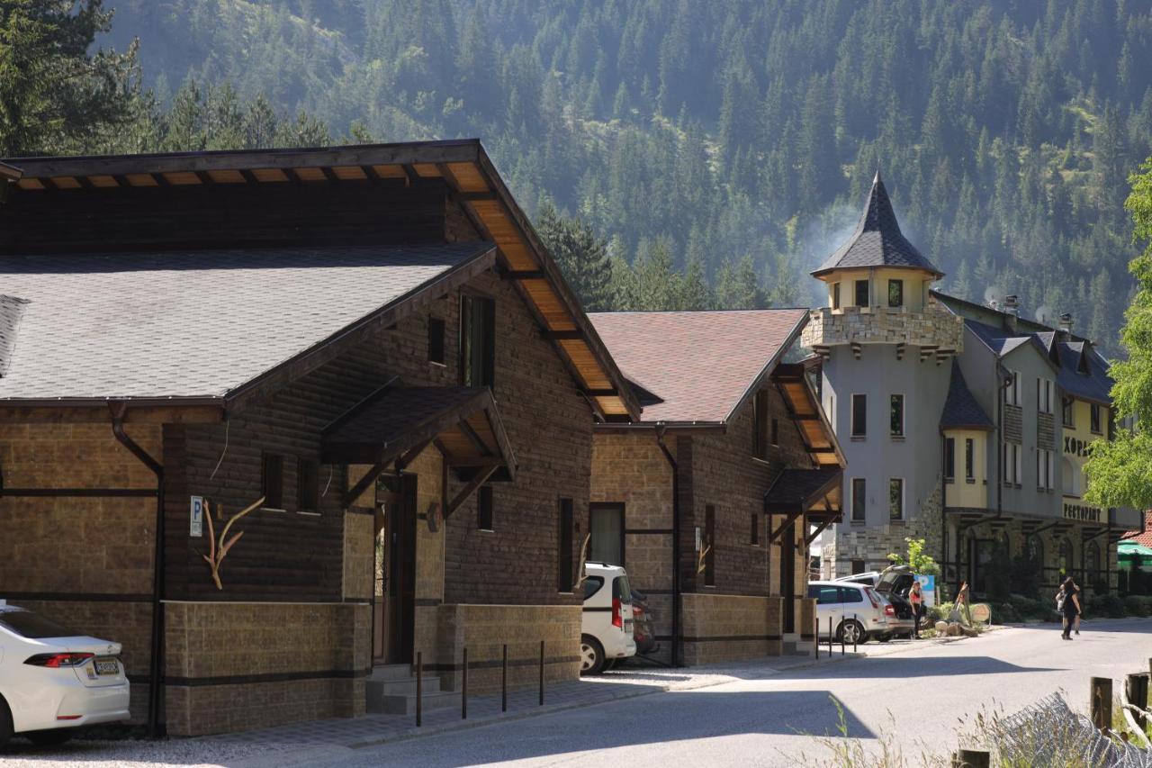 Horlog Castle Hotel Trigrad Bagian luar foto