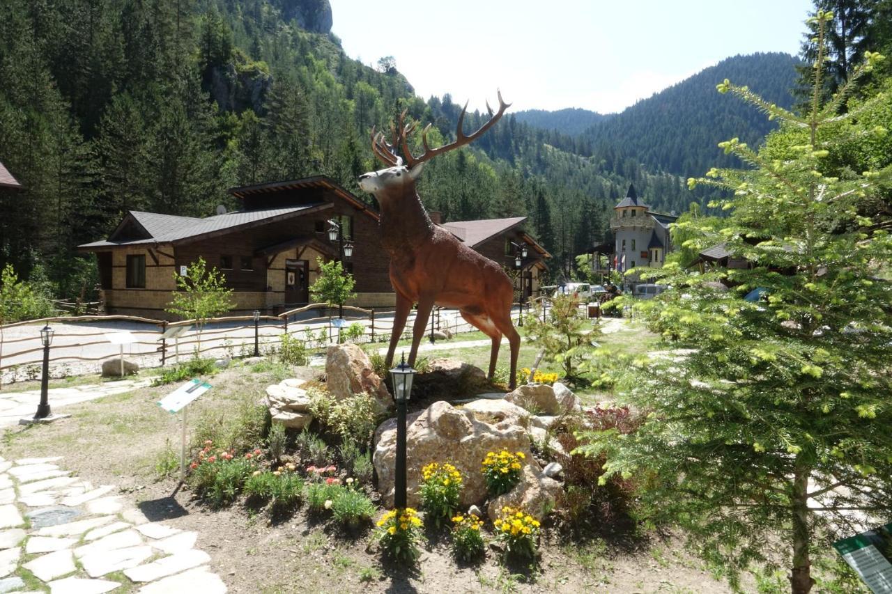 Horlog Castle Hotel Trigrad Bagian luar foto