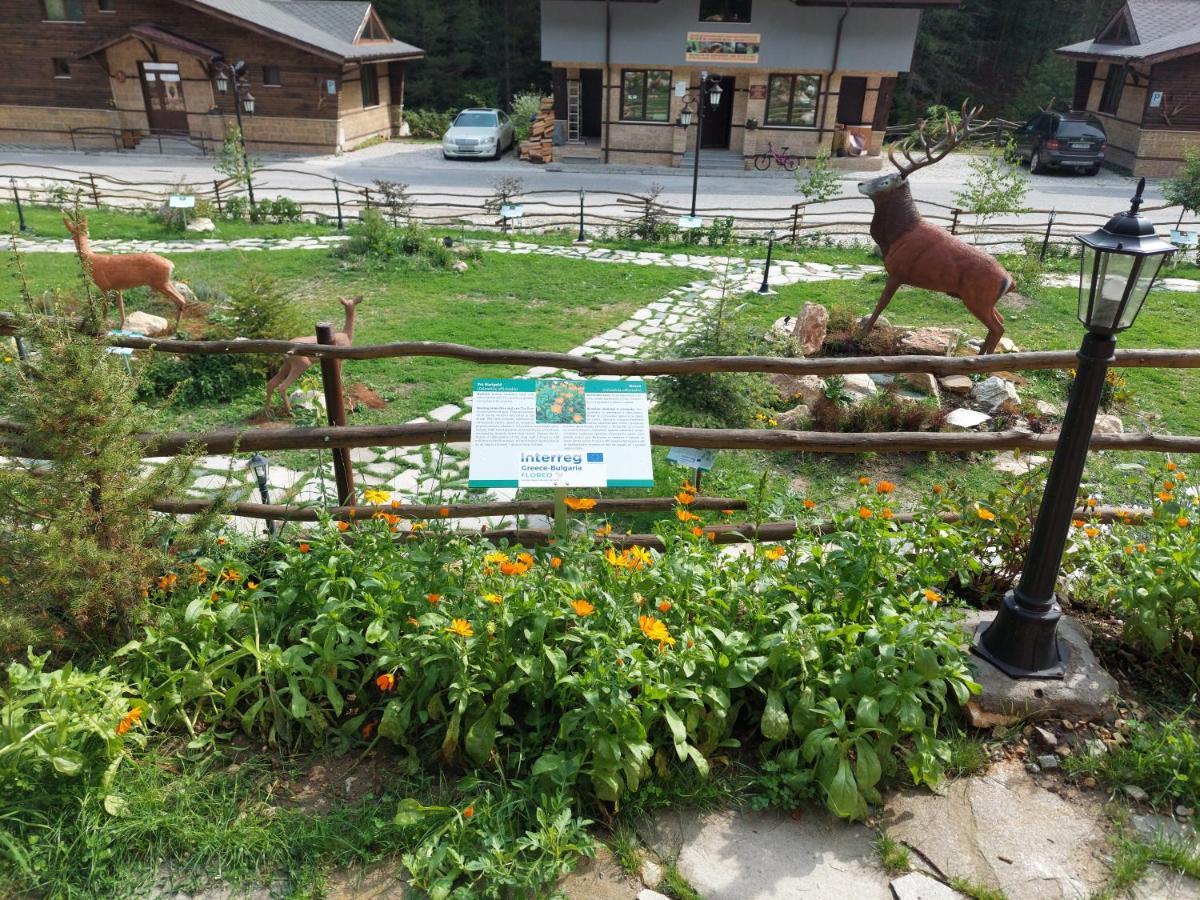 Horlog Castle Hotel Trigrad Bagian luar foto