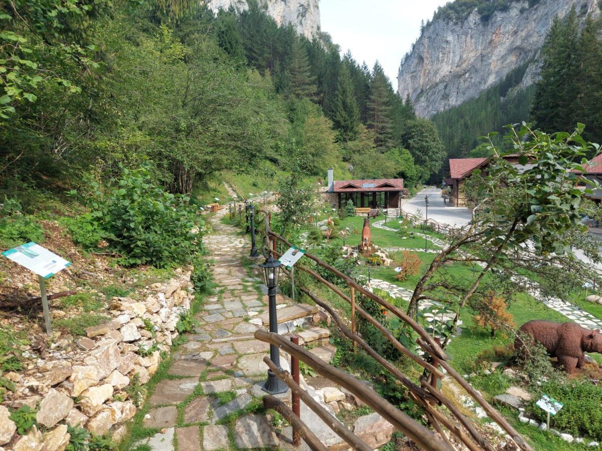 Horlog Castle Hotel Trigrad Bagian luar foto