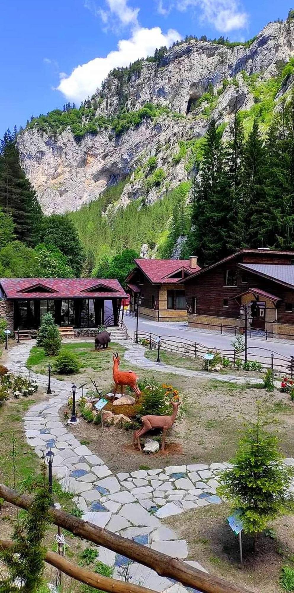 Horlog Castle Hotel Trigrad Bagian luar foto