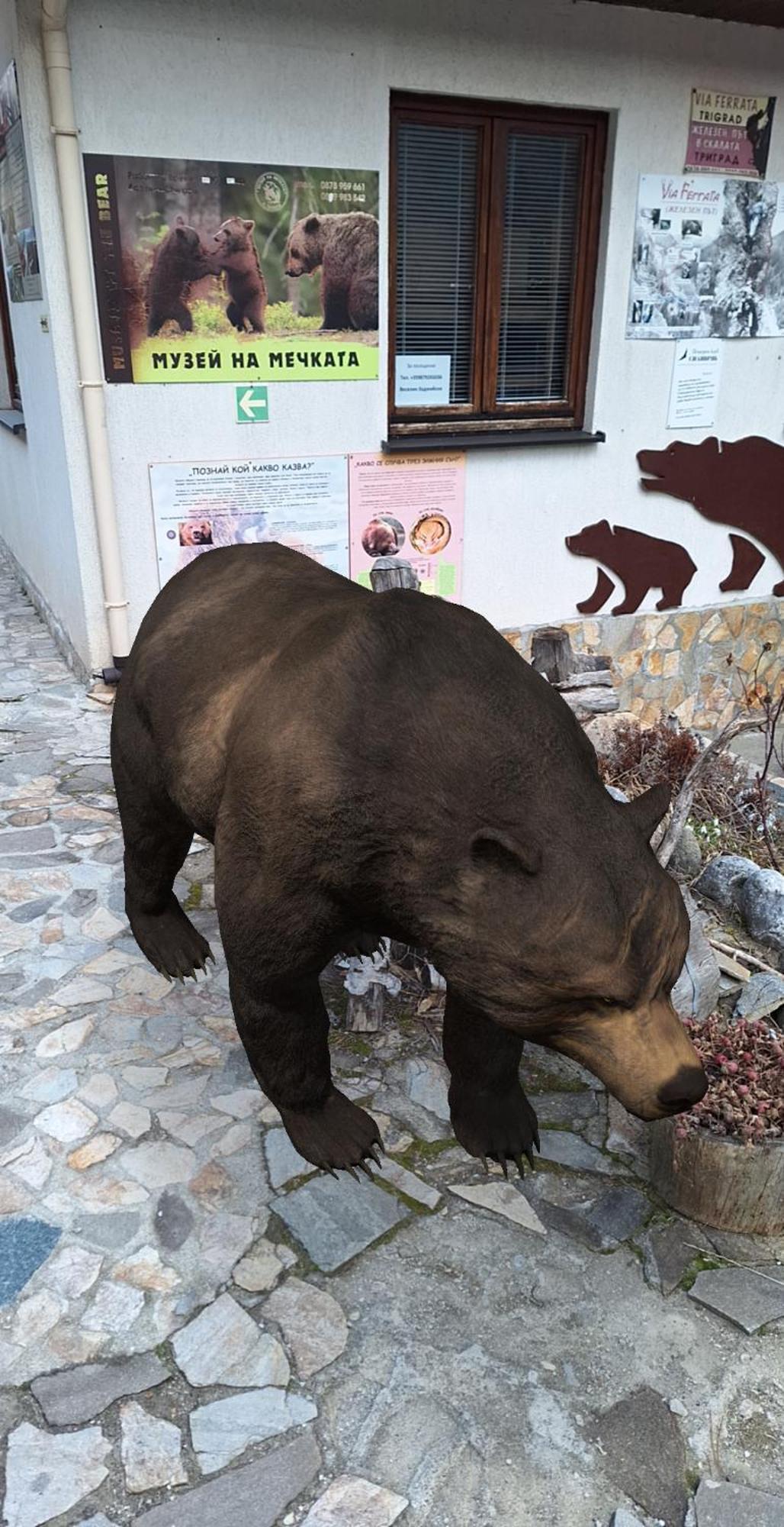 Horlog Castle Hotel Trigrad Bagian luar foto